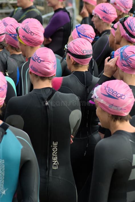 Female Swimmers Stock Photo Image Of Focus Competition 15728104