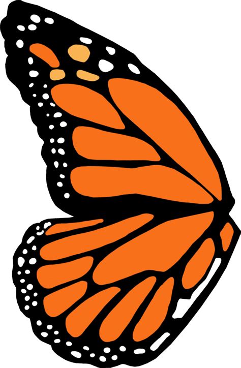 Monarch Butterfly Wing Template Free Transparent Clipart Clipartkey Images And Photos Finder