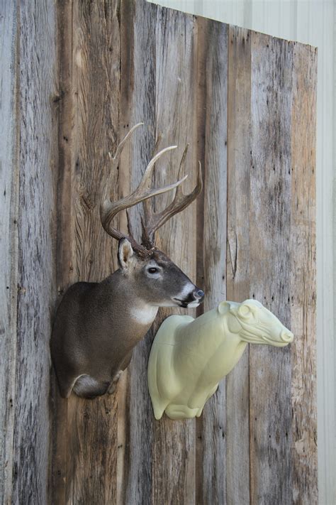 Home Mears Whitetail Forms