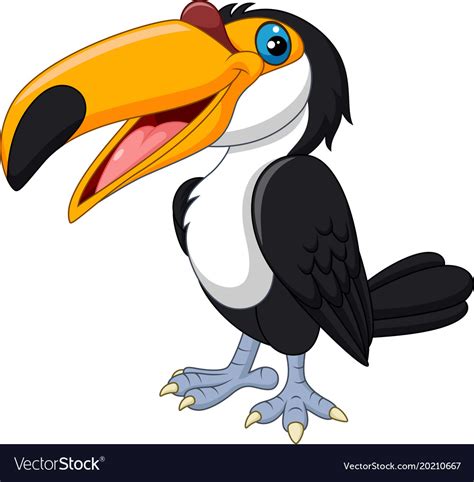 Cartoon Toucan Bird Isolated On White Background Vector Image