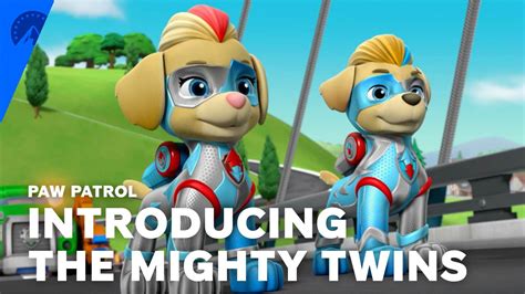 Watch Paw Patrol Paw Patrol Introducing The Mighty Twins S6 E9
