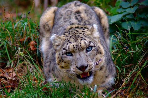 Simple Science: How to Make a Volcano with Kids