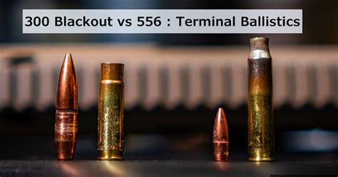 300 Blackout Vs 556 Ammo Which Caliber Is Better