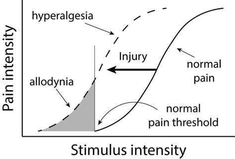 From Physical Injury To Heartache Sensing Pain Introduction To