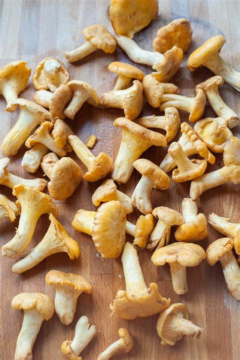 Chanterelle Mushroom Recipes Everyday Delicious