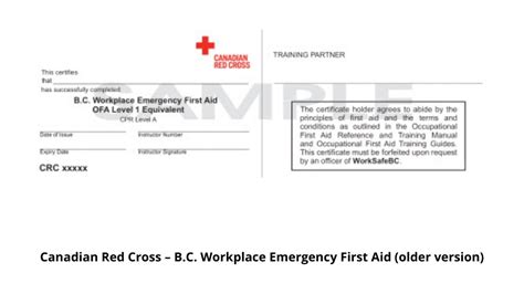 WorkSafeBC Level 1 First Aid Training Mainland Safety Training
