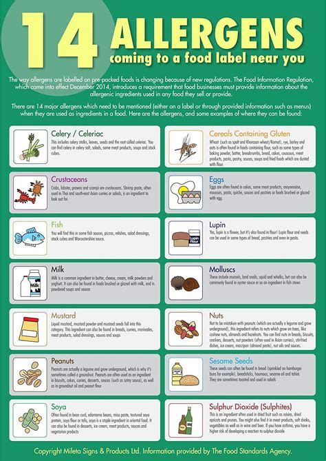 ISO HACCP Ideas In Food Safety Posters Food Safety Food Safety And Sanitation