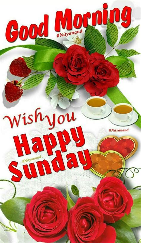 Wish You Happy Sunday Good Morning Pictures Photos And Images For Facebook Tumblr Pinterest