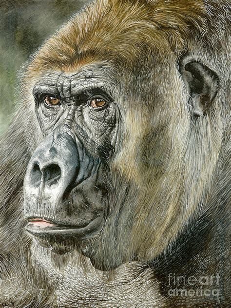Gorilla Painting By True Image