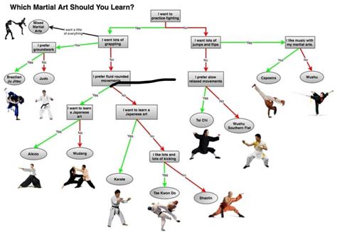 For Those Always Asking What Martial Art Should I Learn Rmartialarts