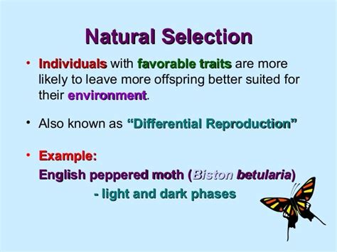 Natural Selection