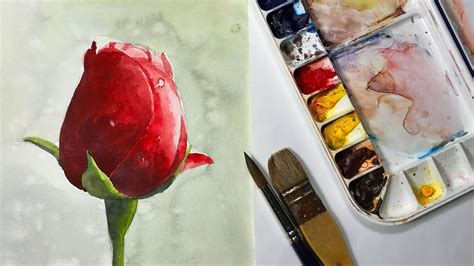 Video By Yong Chen This Is A Step By Step Rosebud Watercolor Painting