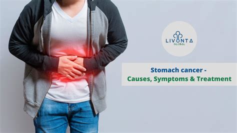 Stomach Cancer Causes Symptoms And Treatment Livonta Global Pvt Ltd