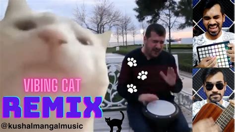 Cat Vibing To Ievan Polkka Remix Cat Vibing To Music Cat Vibing Meme Youtube Music