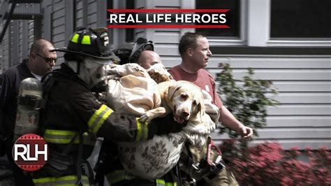 Real Life Heroes 48 2019 Good People Still Exist Compilation Youtube