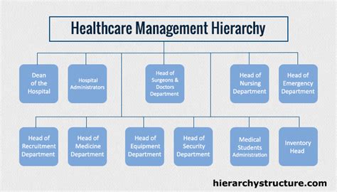 Hierarchy Of Health Care Business Management Management Structure