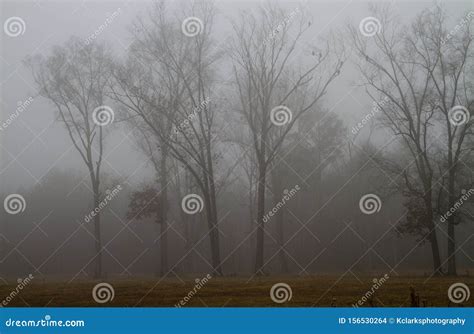 Gray Gloomy Foggy Landscape Background Stock Photo Image Of Dreary