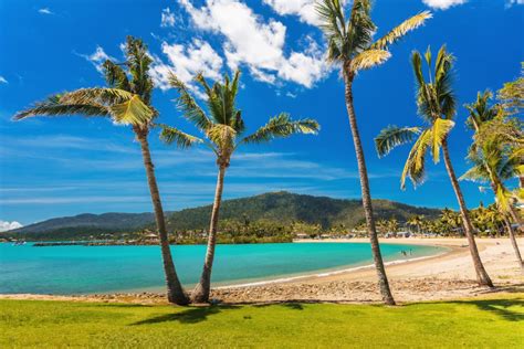Hostels In Airlie Beach From €12 Top Rated Hostels 2024