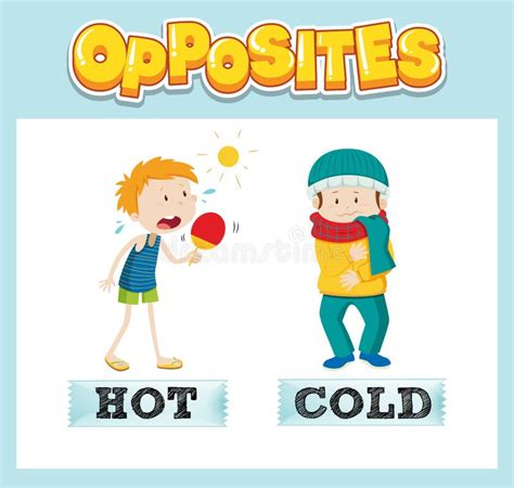 Opposite English Words With Hot And Cold Stock Vector Illustration Of