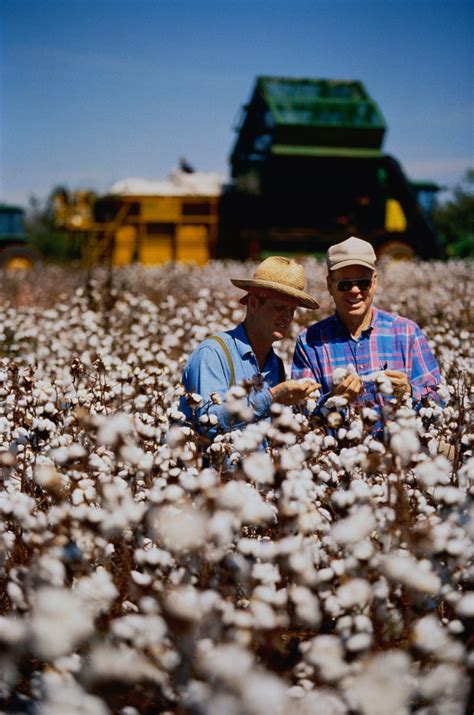 What Will It Take For Farmers To Grow More Organic Cotton Laptrinhx