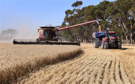 Record Production Brings Huge Gains To Australian Agriculture In 2020 2021