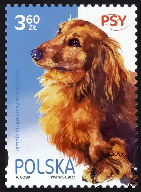 Psy Katalog Polskich Znaczk W Pocztowych