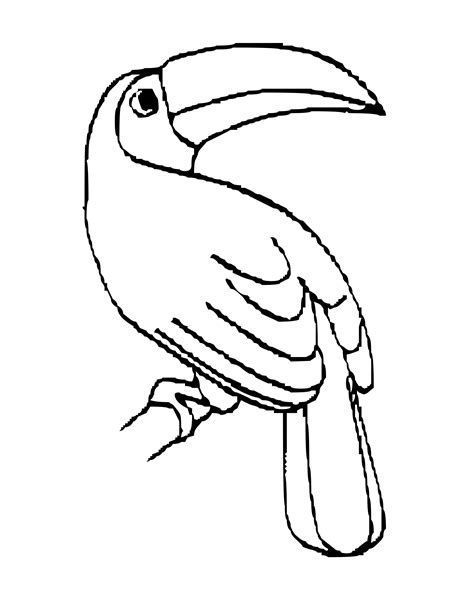 Toucan coloring pages coloring rocks animal coloring pages bird coloring pages coloring pages share tweet pin it. Bird Coloring Pages