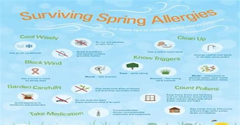 Surviving Spring Allergies Infographic Infographics