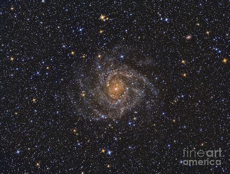 Ic 342 Intermediate Spiral Galaxy Photograph By Reinhold Wittich Fine
