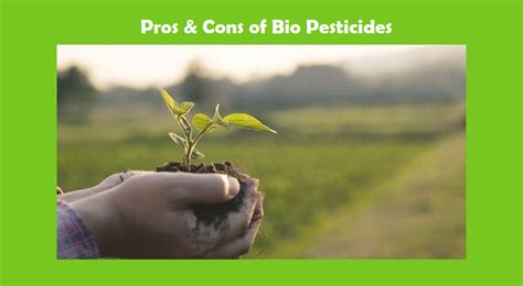 List Of Pros And Cons Of Bio Pesticide Usage In Farming