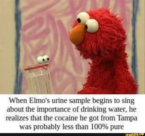 When Elmos Urine Sample Beglns To Sing About The Imponance Of Dunking