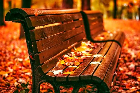Autumn Leaves Bench Park Hd Wallpaper