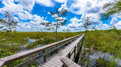 Where To Stay Near Everglades National Park Florida