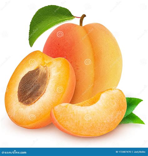 Isolated Apricot Fresh Cut Apricot Fruits Isolated On White Background