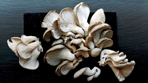How you grow your mushrooms will depend on the kit you buy. Growing Mushrooms at Home Is Easier Than You'd Think ...