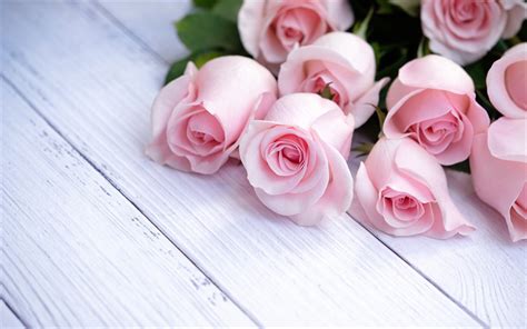 Download Wallpapers Pink Roses A Bouquet Of Roses Pink Rose Petals