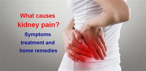 Kidney Cyst Pain In Back Kidney Failure Disease