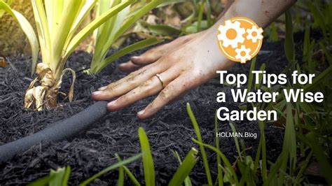 Top Tips For A Water Wise Garden Youtube