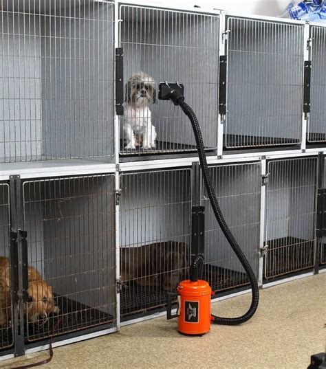 Our Top Dog Dryers Show Dog Store