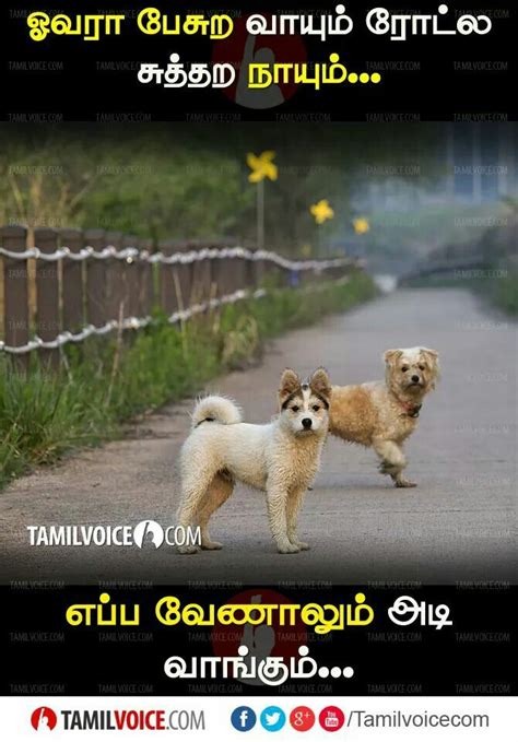 Tamil Funny Memes Best Funny Jokes Funny Joke Quote Funny Fun Facts
