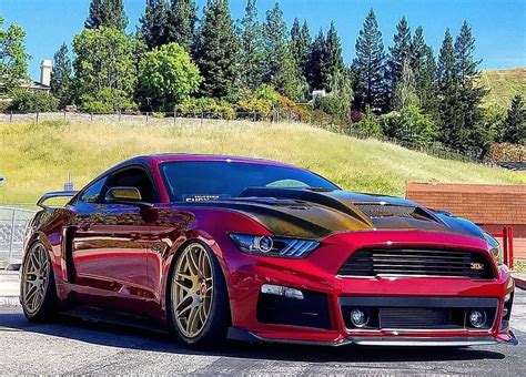 Pin By Jason Maxian On Mustangs Modern Muscle Cars Mustang Cars