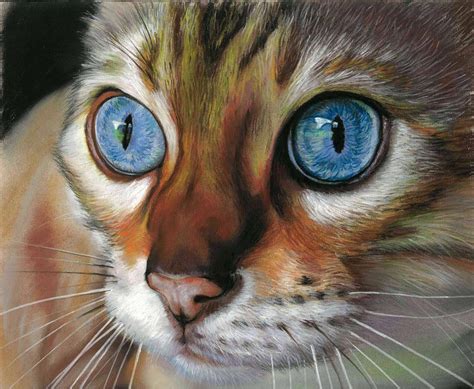 Cat Painting Cat Pastel Portrait Custom Portrait Portrait Etsy