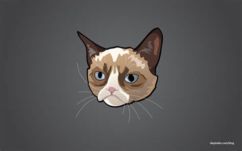 Grumpy Cat Wallpapers Top Free Grumpy Cat Backgrounds Wallpaperaccess