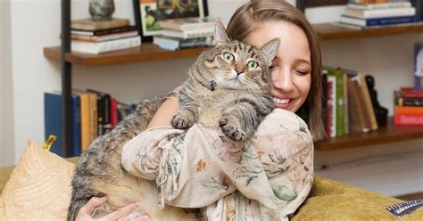 how portraits of women and cats break the crazy cat lady stereotype