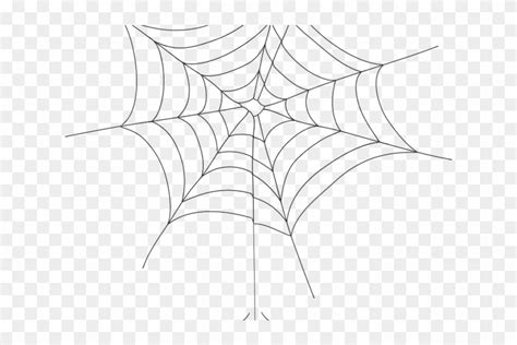 Drawn Spider Web Transparent Background - Spider Web, HD Png Download
