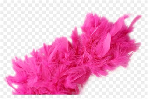 Comments Pink Boa Feathers Png Clipart 5200378 Pikpng
