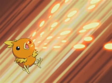 Image May Torchic Ember Png Pokémon Wiki Fandom Powered By Wikia