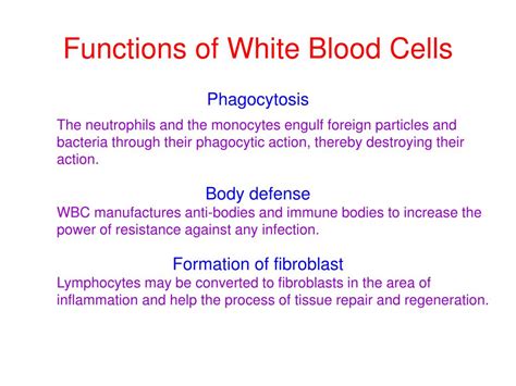 Ppt White Blood Cells Wbcs Normal And Abnormal Powerpoint