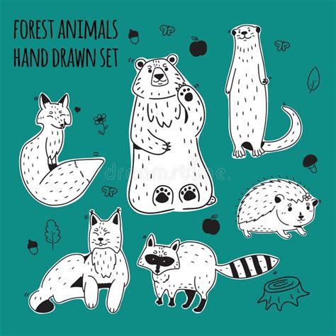 Forest Animal Illustration Set Stock Illustration Illustration Of
