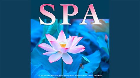 Spa Music Relaxation Youtube